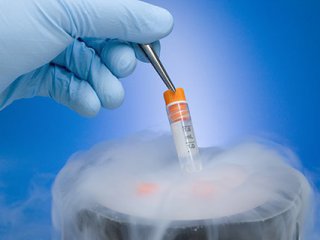Върховният съд на американския щат Алабама постанови че замразените ембриони