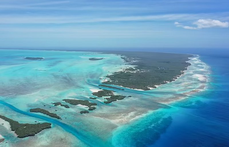Кораловите рифове на Сейшелските острови са една от най-красивите и