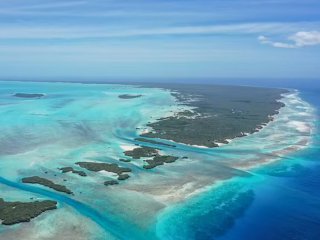 Кораловите рифове на Сейшелските острови са една от най красивите и