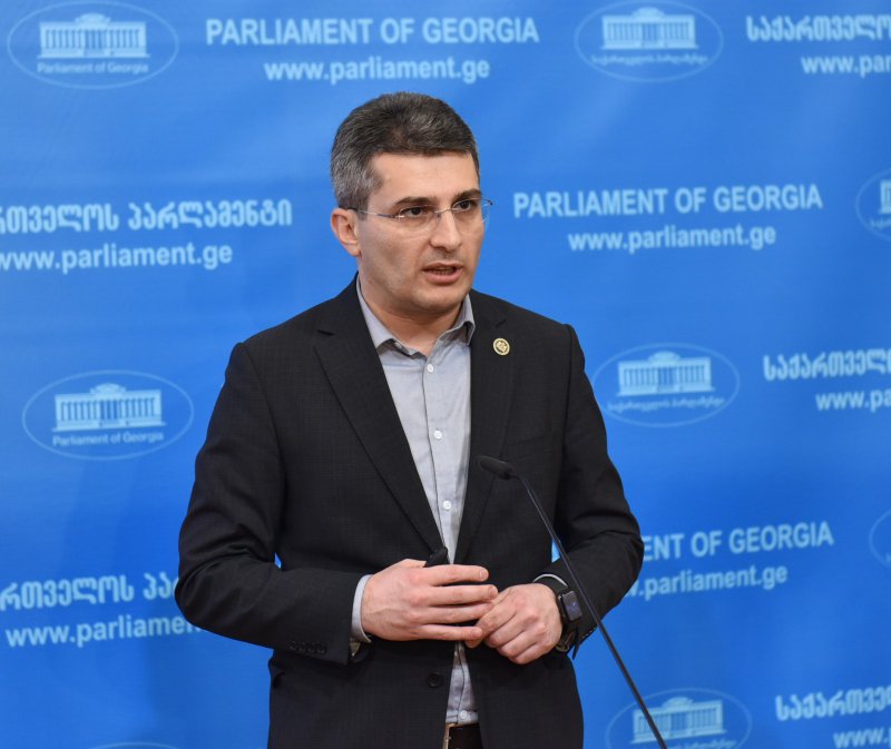Лидерът на парламентарното мнозинство в Грузия Мамука Мдинарадзе заяви пред