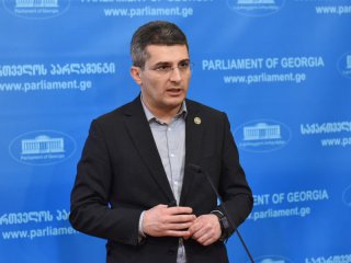 Лидерът на парламентарното мнозинство в Грузия Мамука Мдинарадзе заяви пред