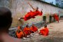 Китайските монаси от Шаолин
