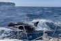 Косатките нападат лодки, защото са отекчени: Учените