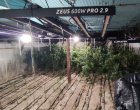 Високотехнологична оранжерия за марихуана откриха във Варна