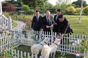Ким подари на Путин редки кучета