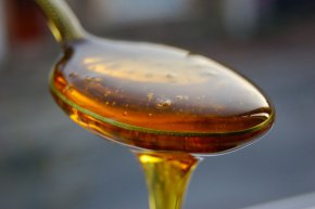 На цена от 5000 евро (6800 долара) за килограм, медът „Елвиш“ от Турция е най-скъпият по рода си в целия свят, пише Oddity Central. Цената му е като на малка кола макар и втора ръка.
