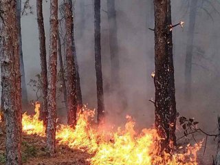 На много места в страната продължава борбата с пожарите пламнали