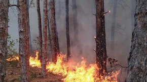  На много места в страната продължава борбата с пожарите, пламнали в гори или сухи треви.