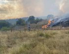 Пожарът край Отец Паисиево гори на 3 фронта 