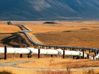 Износът на руски газ за Китай може да достигне 30