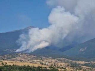 Нов пожар е възникнал в планината Славянка Запалването е под връх