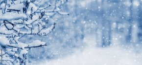 Валежи от сняг през нощта и утре 