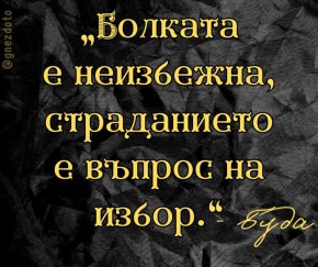 Болката е неизбежна, страданието е въпрос на избор