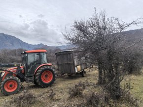 Откриха трупове на селскостопански животни в резерват Джендема