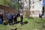  Софинвест със зелен тиймбилдинг: екипът сади люляци и туи, почиства междублоково пространство 