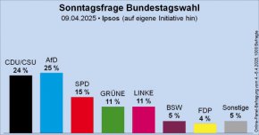 AfD за първи път оглавява проучване на общественото мнение в Германия 