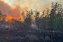  Пламъците в Сакар вече обхванаха 8 хиляди декара
