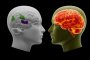 AI намалява паметта и критичното мислене: Изследване
