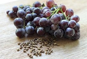 Хапче за 150 г. живот от гроздови семена изобретиха китайците