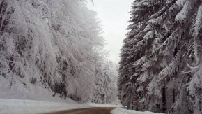 Откриха три тела в хижа на Петрохан