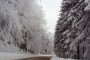 Откриха три тела в хижа на Петрохан
