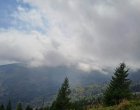 Мечка е нападнала и убила мъж на Витоша