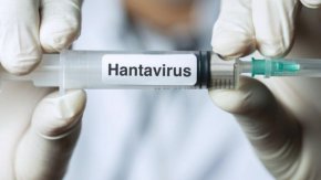 Тревога в Румъния: Потвърдиха случай на хантавирус в Арад