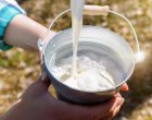 Суровото мляко се изкупува по 0,30 евро, а в магазините цените са многократно по-високи