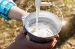 Суровото мляко се изкупува по 0,30 евро, а в магазините цените са многократно по-високи
