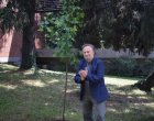 Франко Неро: Златната липа е великолепен фестивал