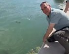 Делфинче игра с кмета на Бургас