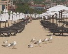 Двама мъже са с опасност за живота след стрелба и намушкване край Варна  
