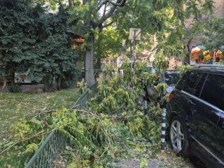6-и ден след бурята Трайков и Терзиев още не са изчистили центъра при двойни цени за Титан/ВИС