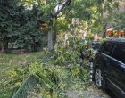 6-и ден след бурята Трайков и Терзиев ще не са изчистили центъра при двойни цени за Титан/ВИС