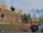 Пожар на голям фронт избухна край АМ Струма