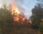 Пожар избухна в Пирин над Разлог