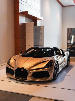 Bugatti W16 Mistral стана част от специалната лятна изложба в музея Louwman