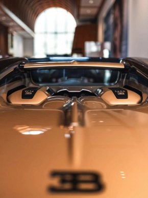 Bugatti W16 Mistral стана част от специалната лятна изложба в музея Louwman
