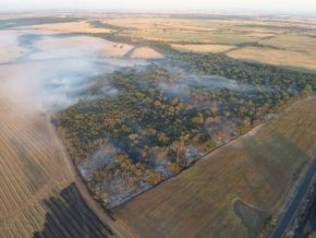 Пожарът край село Стрелци обхвана 2000 декара, локализиран е