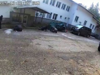 Нови ключови експертизи по случая „Петрохан“ са готови, прокуратурата засега не разкрива изводите