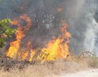 Пожар край Бургас, силен вятър затруднява гасенето 