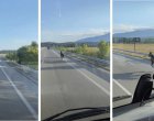 Кон галопира по магистрала 