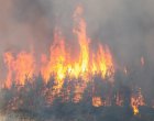 3 горски пожара бушуват в Анталия