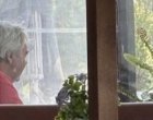 Узунов ли е съветникът на Н.Пр. Радев по ловни хижи с ПИМК-а?
