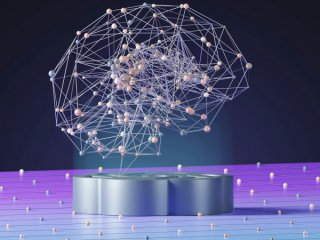  70% режат счетоводителите, 60% - ИТ, 50% - юристите заради ИИ до 5г.