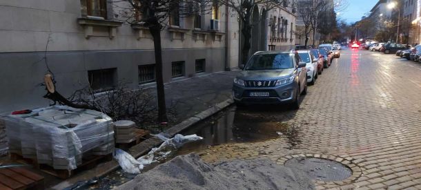  10-и ден дървеса пречат на хората дори в топцентъра