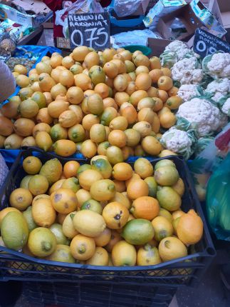  60 ст. портокалите, 1 лв. краставиците в Пирея                     
