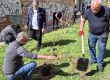  Софинвест със зелен тиймбилдинг: екипът сади люляци и туи, почиства междублоково пространство