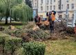   И елхата на София бастисана от Терзиев и Трайков след 102-г. тополи до Народния