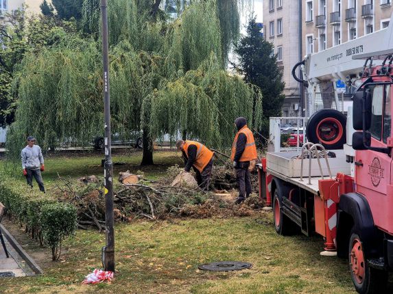   И елхата на София бастисана от Терзиев и Трайков след 102-г. тополи до Народния